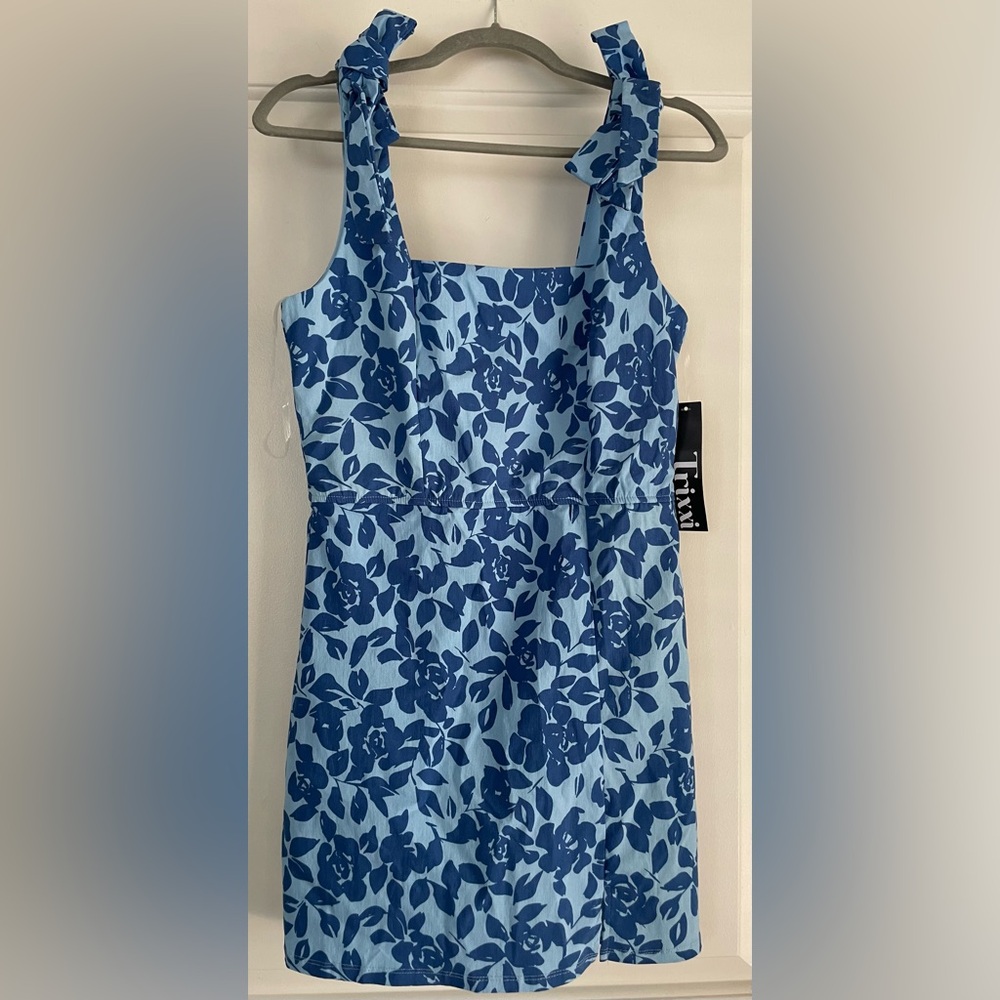 Trixxi Light Blue Floral Dress